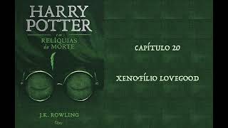 HARRY POTTER E AS RELÍQUIAS DA MORTE  CAP 20 XENOFÍLIO LOVEGOOD  J K ROWLING AUDIOBOOK [upl. by Nylirac]