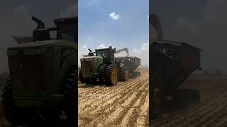 JOHN DEERE 9R 440 Tractor bigtractorpower wheat harvest johndeere tractor automobile [upl. by Duile]