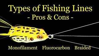 Types of Fishing Lines  Pros and Cons  Fishing Line Basics [upl. by Haines]