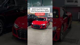 Audi R8 Cold Start V10 Performance RWD [upl. by Tildie747]