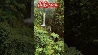 Al Quran quran loveallah allah youtubeshorts shorts [upl. by Nahsab]