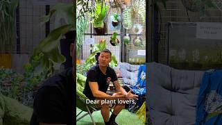 Rare and Exotic Plants of Indonesia  FLOII international plant show trailer [upl. by Aicilana]