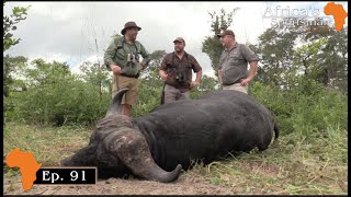 Caprivi Buffalo hunt with Ndumo Safaris Part 1  Africas Sportsman Show Ep 91 [upl. by Crissie]