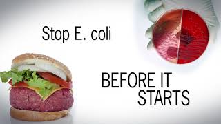 How to Stop E coli Before It Starts [upl. by Tammany106]