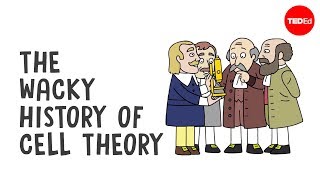 The wacky history of cell theory  Lauren RoyalWoods [upl. by Nalani538]