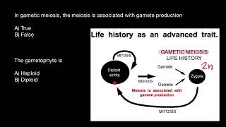 Gametic meiosis  Gametophyte  Sporophyte [upl. by Noiram890]