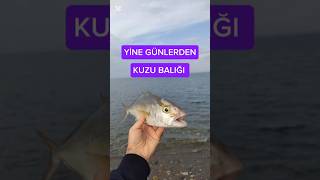 DECATHLON ŞİŞME KANO İLE BALIK AVI fishing balık spin kano decathlon hatay deniz balıkavı [upl. by Alludba]