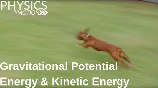 What Are Gravitational Potential Energy and Kinetic Energy  Physics in Motion [upl. by Joey826]