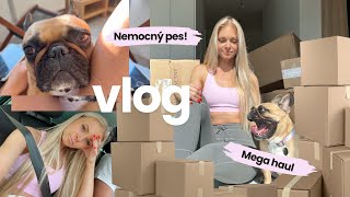 VLOG  Unboxing PROČ nemůžu spát🙈 Co se stalo 🐶 [upl. by Ardnossak]