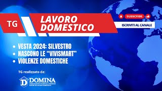 TG LAVORO DOMESTICO 230524 [upl. by Rimahs]