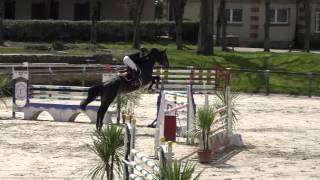 Anisette de Cordelle  SaintLô 6 ans Qualification [upl. by Ellehcear]