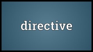 Directive Meaning [upl. by Neleag]