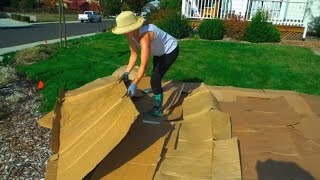 Convert Your Lawn by Sheet Mulching [upl. by Sarnoff]