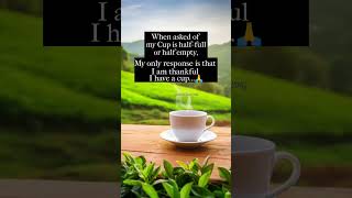 Extraordinary quotes  gratitude  thankful  whatsapp status youtubeshorts [upl. by Sardella]