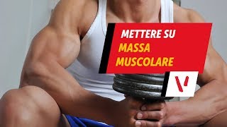 Mettere su massa muscolare [upl. by Rubens]