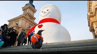 Live Giant snowman makes annual appearance in northeast Chinas Harbin – Ep 9 [upl. by Rramaj416]