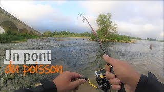 Pêche en Loire en Ultraléger  Un pont du poisson [upl. by Nolyak578]