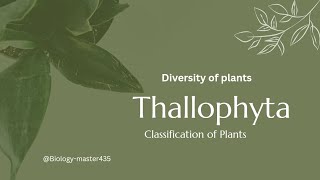 Plant classification Thallophyta  diversity of plants  lower Botany  Bs level  Botanists [upl. by Acceb]