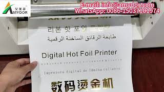 Amydor Continuous Paper Feeding Gold Foil Printer Machine AMD360D [upl. by Ashien]