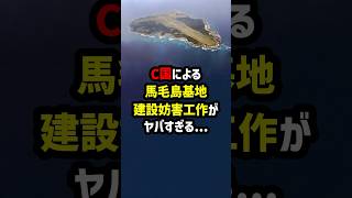 C国による馬毛島基地建設妨害工作が…ヤバすぎる 海外の反応 [upl. by Idnew]