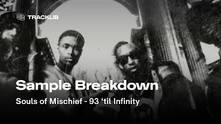 Sample Breakdown Souls of Mischief  93 til Infinity [upl. by Ongun]