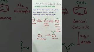 Side chain chlorination of toluene l organic chemistry class 11 l chemistry education [upl. by Couture610]