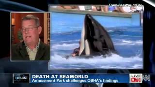 OHSA SeaWorld CNN interview David Kirby and Carol Ray flv YouTube [upl. by Aneloaup642]