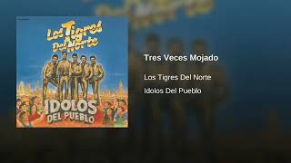 Los Tigres Del Norte  Tres Veces Mojado Audio [upl. by Nauqaj645]