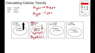 5 Osmosis and Tonicity Calculations [upl. by Ayikahs]