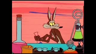 1960s Wile E Coyote and Roadrunner Theme [upl. by Nabois]