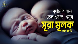 Surah AlMulk for 1 hour  ঘুমানোর জন্য  এক ঘণ্টা সূরা মূলক  Recited by Alaa Aqel [upl. by Nibas853]