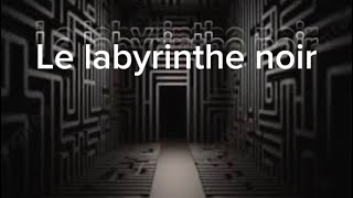 Le labyrinthe noir RP épisode 5 [upl. by Tabitha]