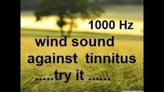 10 minutes wind at 1 000 Hz as sound therapy for tinnitus relief acouphènes [upl. by Yreneh]