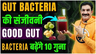 10x Your Good Gut Bacterias Population  Best Homamade Drink For Gut Bacteria in Hindi  Ram Verma [upl. by Bollen]