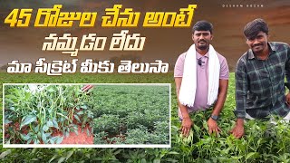 Oils solution for mirchi farmingnikitha oils ఇంగ్లీష్ మందులు పక్కన పెట్టి పంట పండిస్తున్న [upl. by Jacinta]