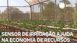 Conexão Agro sensor de irrigação auxilia na economia de recursos [upl. by Eirena260]