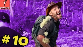 Coyote Peterson screaming in pain compilation  You ask we compile 10 [upl. by Sabino224]