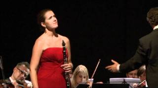 Gabriel´s Oboe clarinet version Ennio Morricone [upl. by Nyleak]