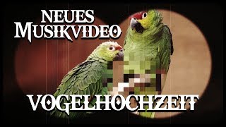 Harpyie amp Krayenzeit  Vogelhochzeit OFFICIAL MUSIKVIDEO 2017 [upl. by Tegdirb]