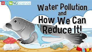 Water Pollution and How We Can Reduce It [upl. by Verdha]