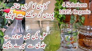 Make Organic Liquid Pesticide in Only 5 Mins  Cheap Pesticide at Home  Podoun k Keere Marein [upl. by Ade660]