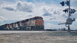 Thornton and Stockton Railfanning with CP NS Leader and UP Repaint [upl. by Howenstein]