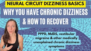 Why you have PPPD MdDS and other unexplained chronic dizziness amp how to recover [upl. by Nonnairb595]