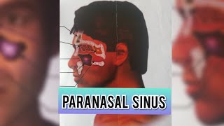 PARANASAL SINUSES  CLINICAL ANATOMY  SINUSITIS  MAXILLARY  FRONTAL  ETHAMOIDAL  SPHENOIDAL [upl. by Durno]