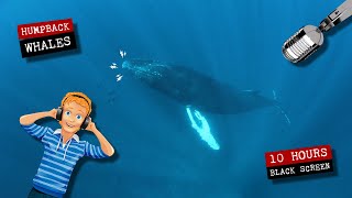 Humpback whales singing in the ocean 🐋 10 hours of whale sounds [upl. by Philan]