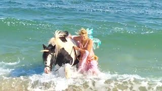 No Ads Ocean sounds meditation 1 hour horses swimming on the beach join us [upl. by Hedi]