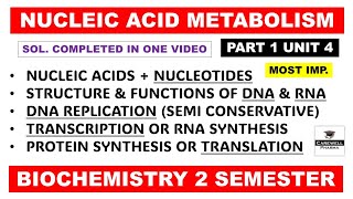 Nucleic acid metabolism  DNA  RNA  Transcription  Translation  Part 1 Unit 4  biochemistry [upl. by Valeda]