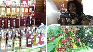 Coorg Trip Part 1  Worst Holiday Ever  Tamil Travel Vlog  Padma Vlogs [upl. by Chi]