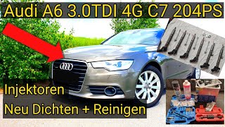 Audi A6 A7 4G 30TDI Injektoren abdichten reinigen Ultraschallbad seal injectors clean ultrasonic [upl. by Susann282]