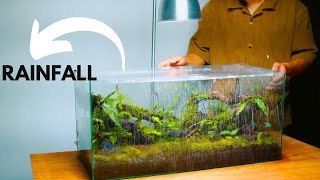 i made a forest style terrarium with a rainfall and mist  rainfall terrarium [upl. by Eetnahs46]